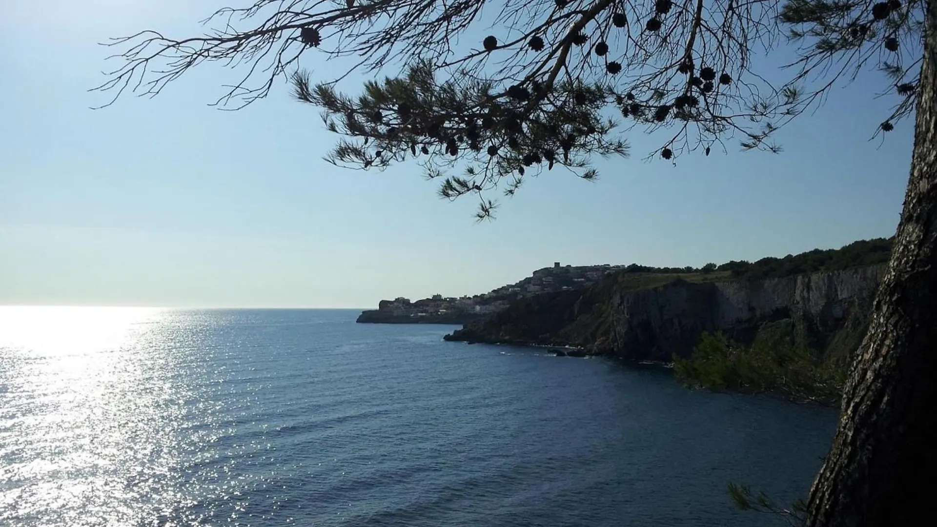 Holiday home Apartment At Lescala Near Cala Montgo L'Escala